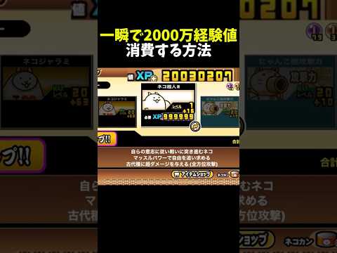 【にゃんこ大戦争】一瞬で2000万経験値を消費する方法 #にゃんこ大戦争 #にゃんこ大戦争コラボ #shorts