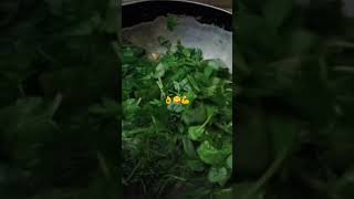 Healthy Mixed Leafy Veg.Curry.#Shorts#Viral#Leafy Curry#Youtube Shorts.