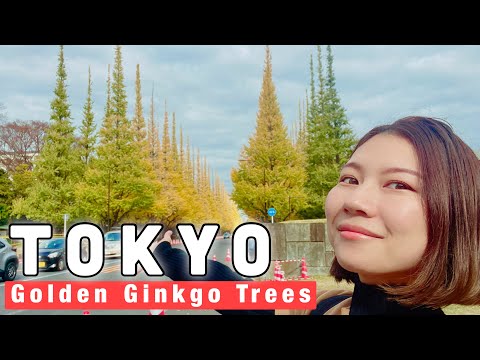 🔴LIVE | Walking along a Busy Gingko Tree Avenue in Tokyo🗼