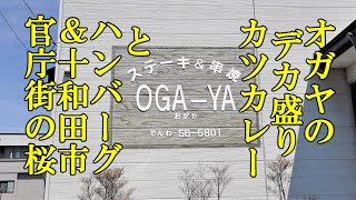 オガヤのデカ盛りカツカレーとハンバーグ＆十和田市官庁街通りの桜【青森県上北郡東北町、十和田市】