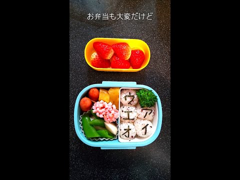 幼稚園弁当（カタカナバージョン） #Shorts