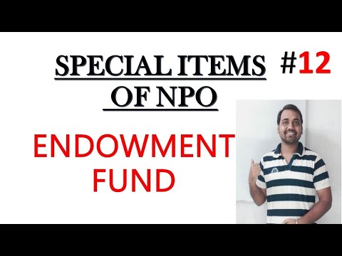 🔴 Special Items Of NPO||ENDOWMENT FUND||NPO||Class 12 NPO|| Non profit organization||NPO|| VIDEO 12