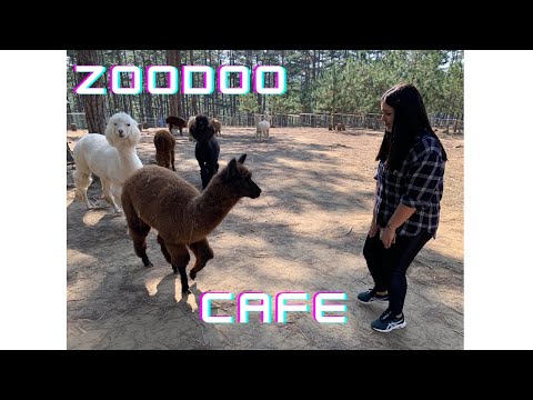 ZOODOO CAFE | DALAT | VIETNAM