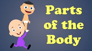 Parts of the Body | #aumsum #kids #science #education #children