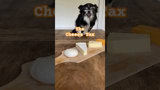 The cheese tax #shorts