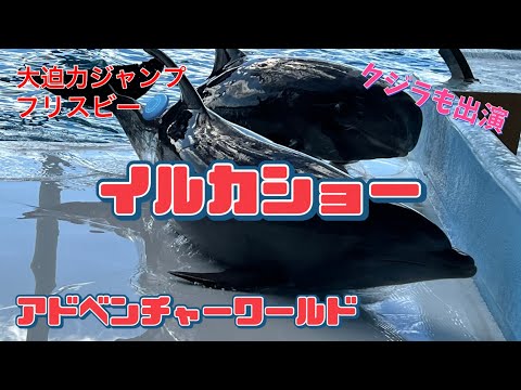 【大迫力イルカショー】スマイルズ クジラ アドベンチャーワールド Adventure World Marine Live “Smiles” whales and dolphins show