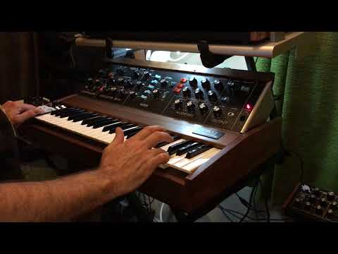 Bettie the Little Voyager (Moog Minimoog Model D, short)