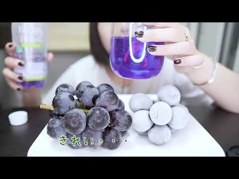 咀嚼音 ASMR│巨峰ふじみのりをいただきます。バタフライピードリンク│Luxury grape Kyoho Fujiminori / Butterfly pea drink