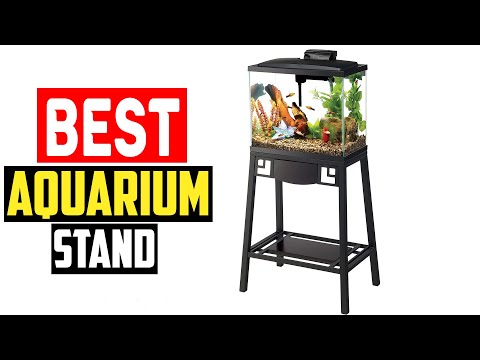 ✅Best Aquarium Stand in 2023