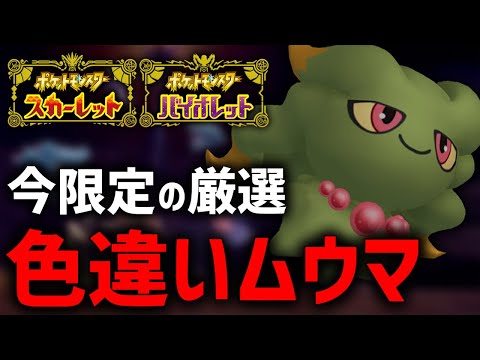 【ポケモンSV】普段じゃゲットすらできない『限定ムウマ』厳選する！