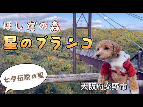 【大阪府交野市】七夕伝説の里🎋✨「星のブランコ」へ行ってきました♪