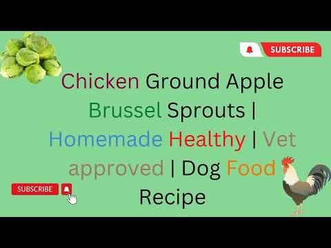 Chicken Ground Apple  Brussels sprouts  Homemade Healthy  Vet approved  Dog Food Recipe DIY Dog Food