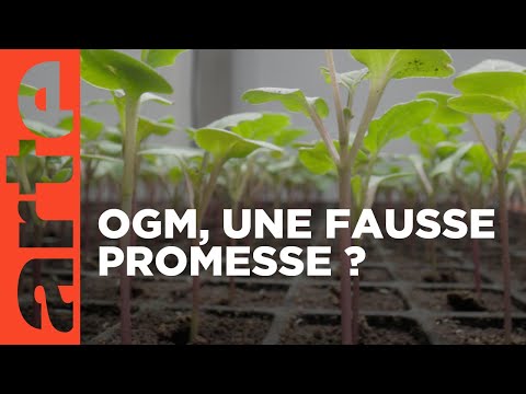 Agriculture bio : avec ou sans OGM ?  | Les questions qui fâchent (2024) | ARTE