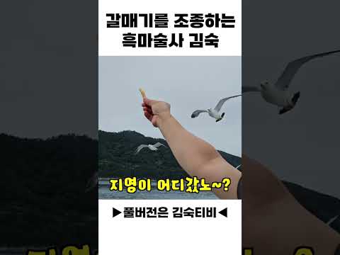 갈매기를 조종하는 흑마술사 김숙