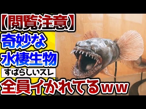 【2ch動物スレ】奇妙でグロテスクな水棲生物ランキング！→深海魚たくさんでてくるよ【なんj】 #生き物 #2ch