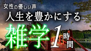 【睡眠導入】人生を豊かにする雑学１時間【女性朗読】