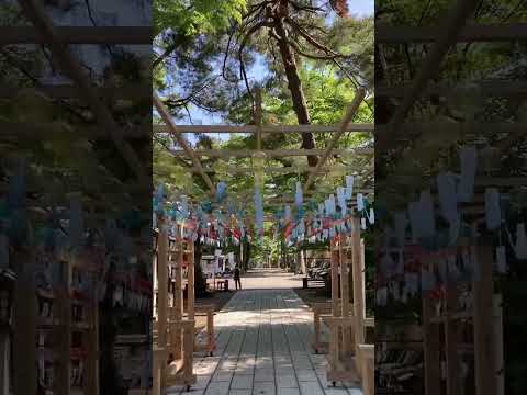 新潟県長岡市の金峯神社。　風鈴が涼風を奏でていました。