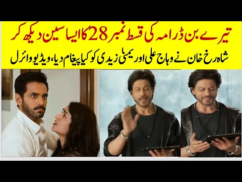 Tere Bin Drama Episodes 28 Shahrukh Khan Advise to Yumna Zaidi and Wahaj Ali  #terebin #bts