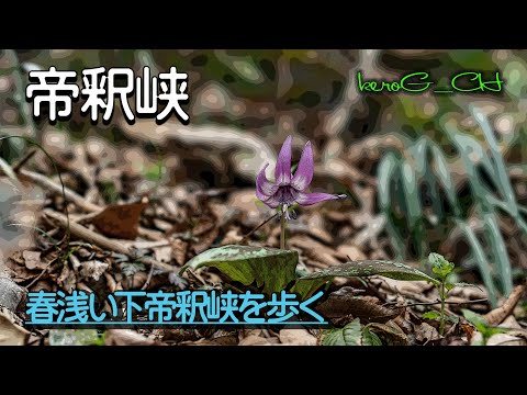 【帝釈峡 Walk in the valley in early spring】春浅い下帝釈峡を歩く