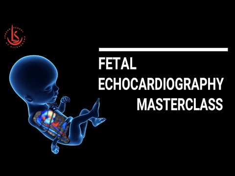 Fetal Echocardiography Masterclass -  22 June 2019