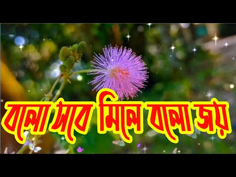 বলো সবে মিলে বলো জয় | Bolo Shobe Mile Bolo Joy | Christian Bangla Worship Song | Rony Biswas