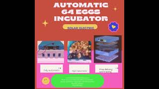 Automatic 64 eggs incubator  #sale #urbanpoultry #poultrykeeping #incubator #hatching