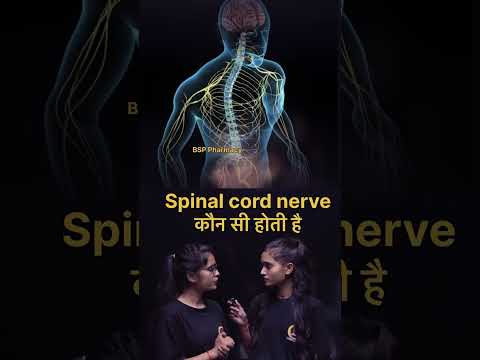 कौनसी Nerve Heartbeat को Control करने का काम करती है #bsppharmacy #bpharma #pharma #pharmacy