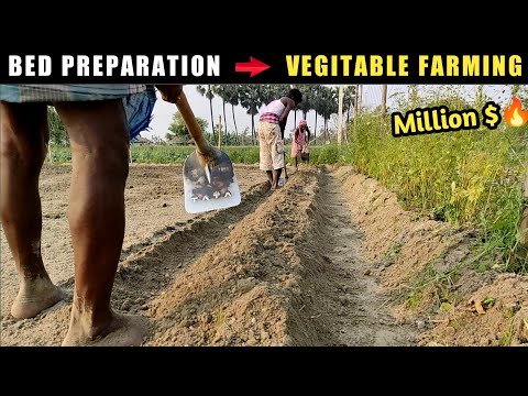 bed preparation for vegetables | gardening ideas for home | raised garden beds | Gardening