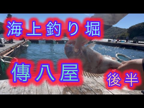 海上釣り堀　傳八屋　後半