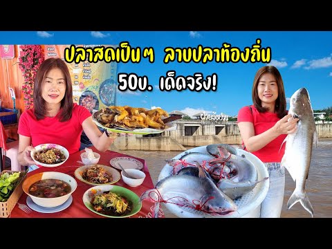 ปลาสดเป็นๆ ฝายวังปานลาบปลาคนท้องถิ่น สดถึงรส 50 บาท ร้านแม่เครือวัลย์เด็ดจริง!! อ.จอมทอง