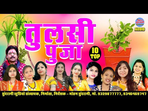 Tulshi Pooja || Tulsi Vivah || तुलसी विवाह || जेठउनी एकादशी || Audio Jukebox || CG Song 2024