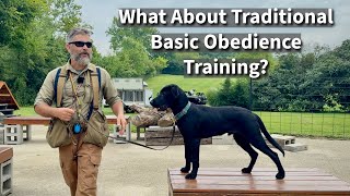 Traditional Basic Obedience Training | Labrador Retriever Session Excerpt