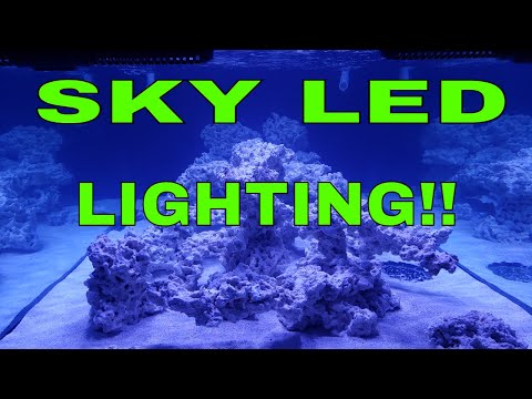 MY THOUGHTS ON THE SKY LED LIGHTING!!!