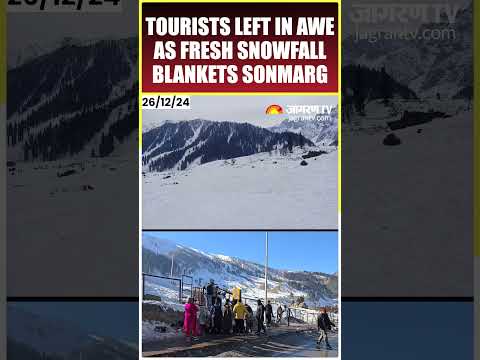 Fresh Snowfall Drapes Jammu Kashmir's Sonmarg, Tourists Left In Awe | #shorts