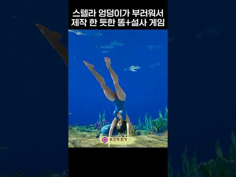 스텔라 엉덩이가 부러웠던 국내 인디 게임사 #shorts #병맛게임