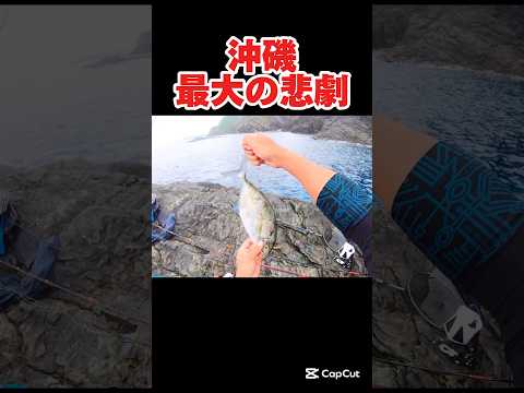 これが沖磯釣りのリアルです。#釣り#沖縄#fishing