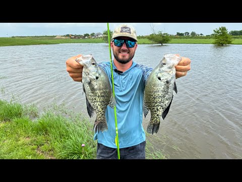 This Pond Was LOADED With Spawning CRAPPIE