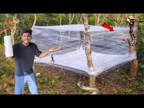 காட்டுக்குள் கண்ணாடி வீடு Transparent Tape House 🏠 #mrsuncity #camping