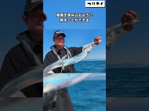 【紹介】使いやすい！だから釣れる！「船タチウオテンヤ 暁」