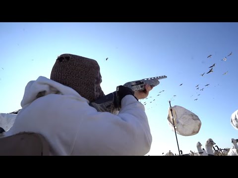 Goose Hunting Kansas | Make Some Noise- Fowled Reality