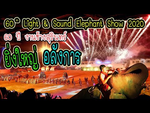 ยิ่งใหญ่ อลังการ!! การแสดงโชว์ของช้าง Light & Sound Elephant Show 2020 (60 ปี งานช้างสุรินทร์)