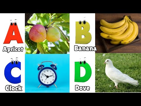 ABC Song for Toddlers | Phonics for Kids | Learn ABC for Kids | English Alphabet Letters