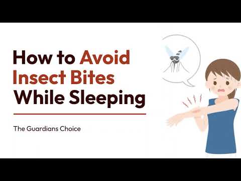 How to Avoid Insect Bites While Sleeping | The Guardians Choice