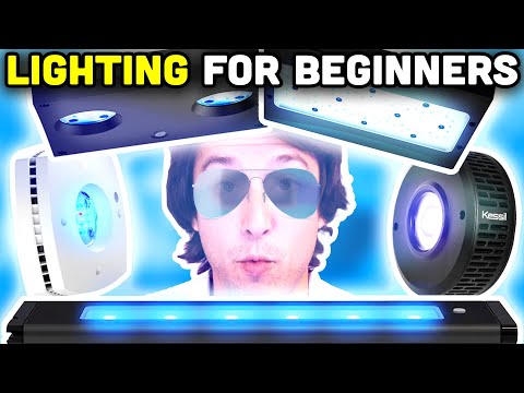 Intro to Lighting! Learning the Basics of Saltwater Aquarium Lighting!