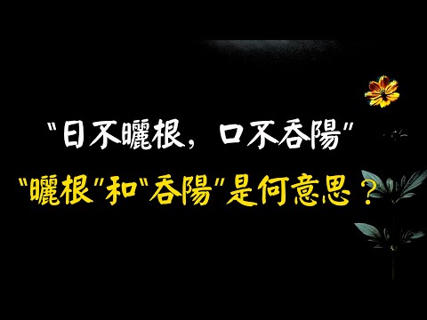 俗話：“日不曬根，口不吞陽”，“曬根”和“吞陽”是何意思？