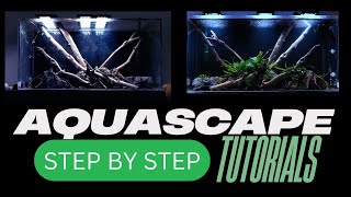 Complete Aquascaping Beginners Guide   Learn ALL The Basics!