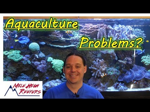 The Trouble With Aquaculture (My Thoughts)