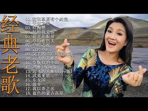 降央卓瑪 Jamyang Dolma - 迷人的草原歌曲 《一剪梅 / 红梅赞 / 呼伦贝尔大草原 / 一剪梅，花开在眼前》 Best Songs Of Jamyang Dolma 2021-中國藏