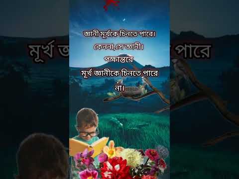 #shortvideo #banglaquatos #quotes