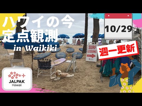 【ハワイの今】ワイキキ定点観測  2024年10月29日